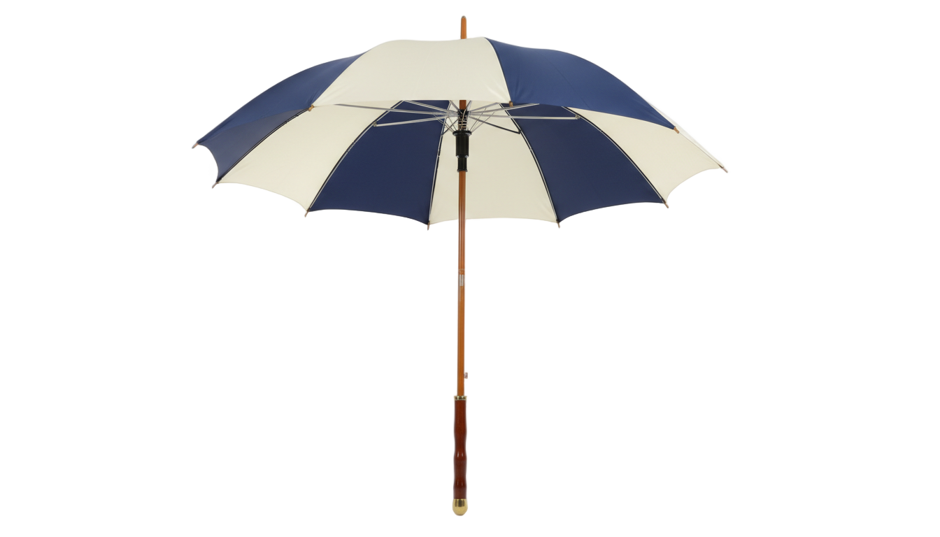 umbrella png vector PNG transparent background