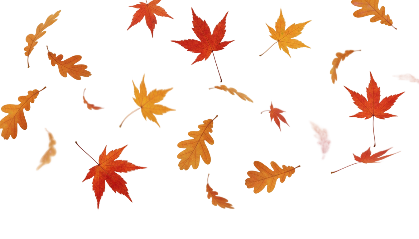 leaves blowing in the wind png PNG transparent background