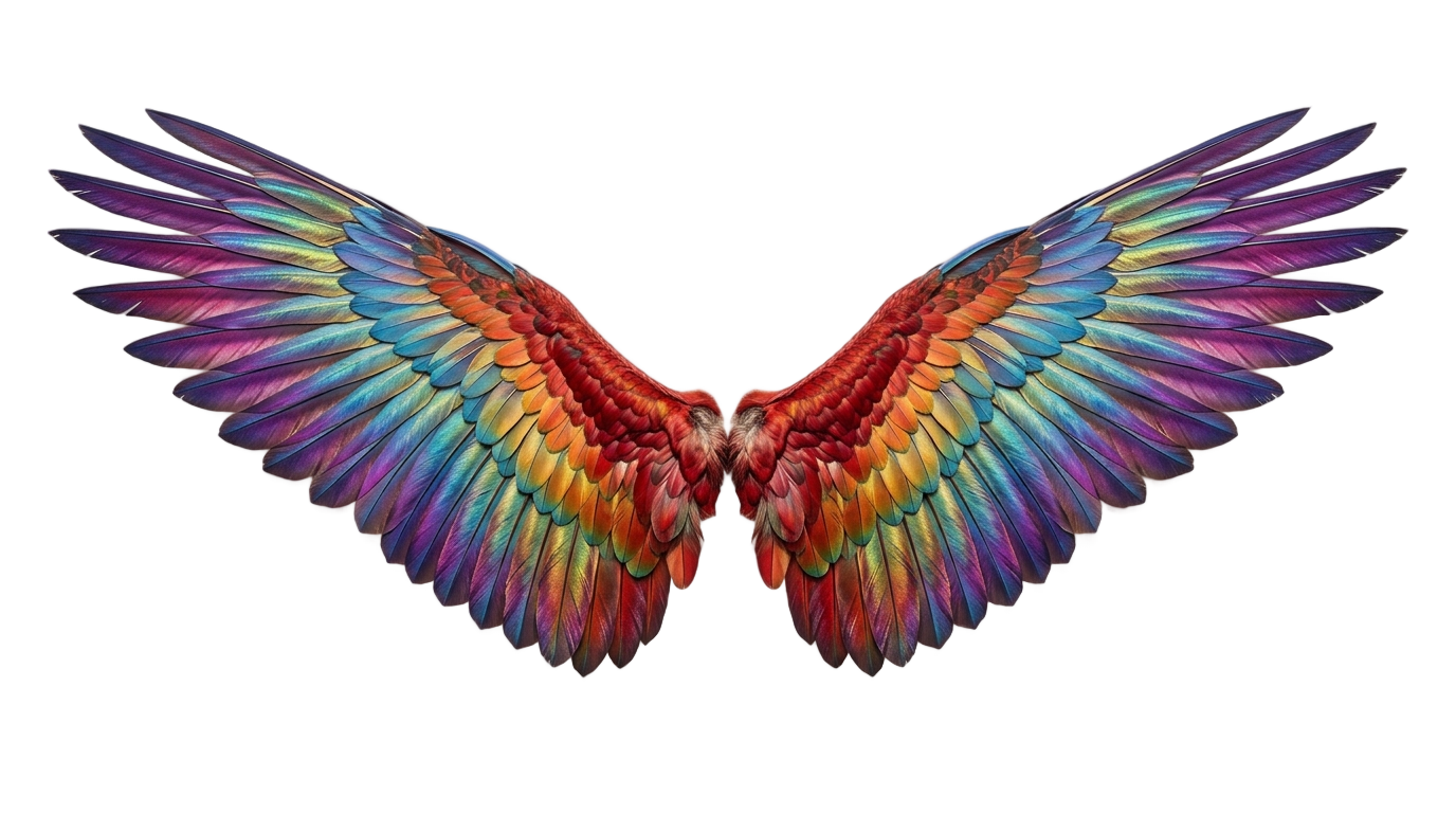 rainbow wings png PNG transparent background