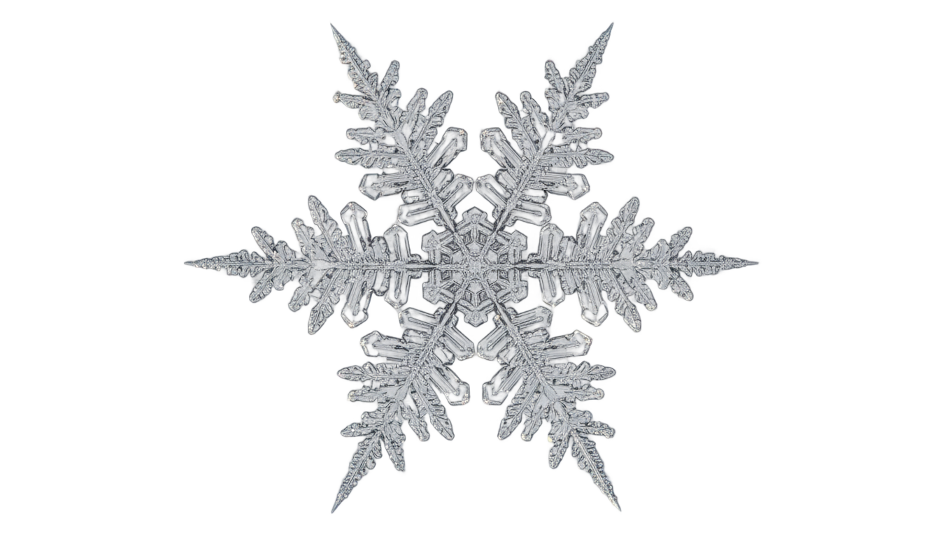 white snowflake vector png PNG transparent background