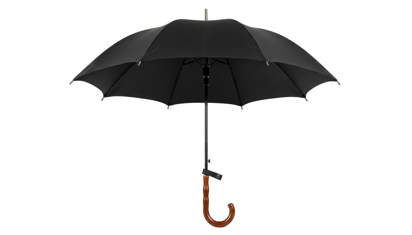 wednesday umbrella png PNG transparent background