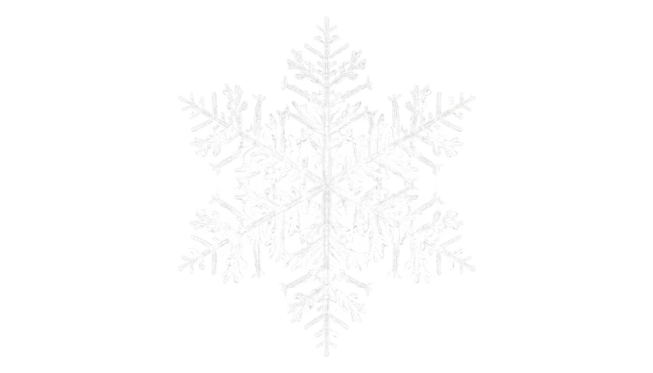 snowflake logo png PNG transparent background