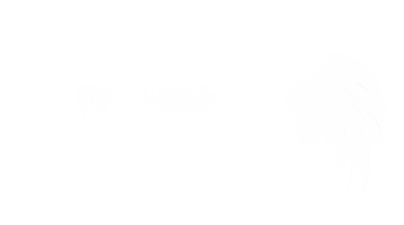 wind swirl png PNG transparent background