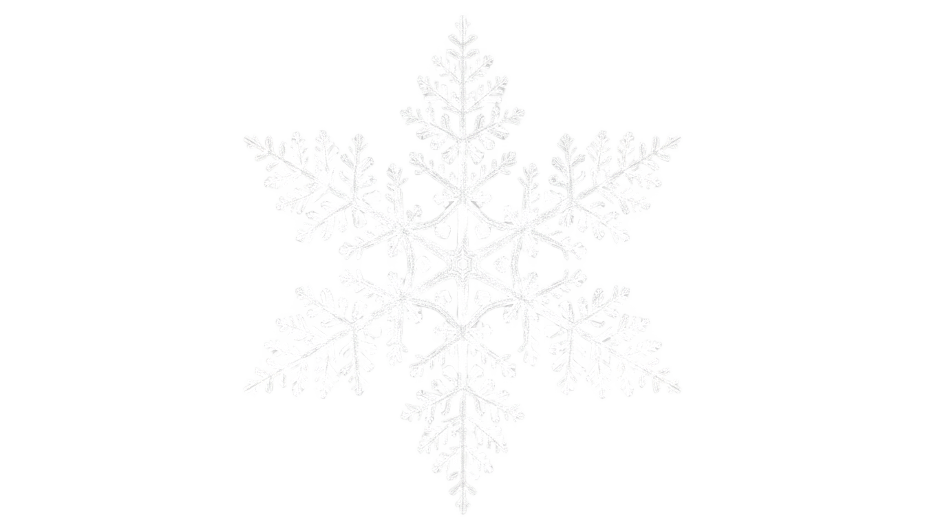 snowflake logo png PNG transparent background