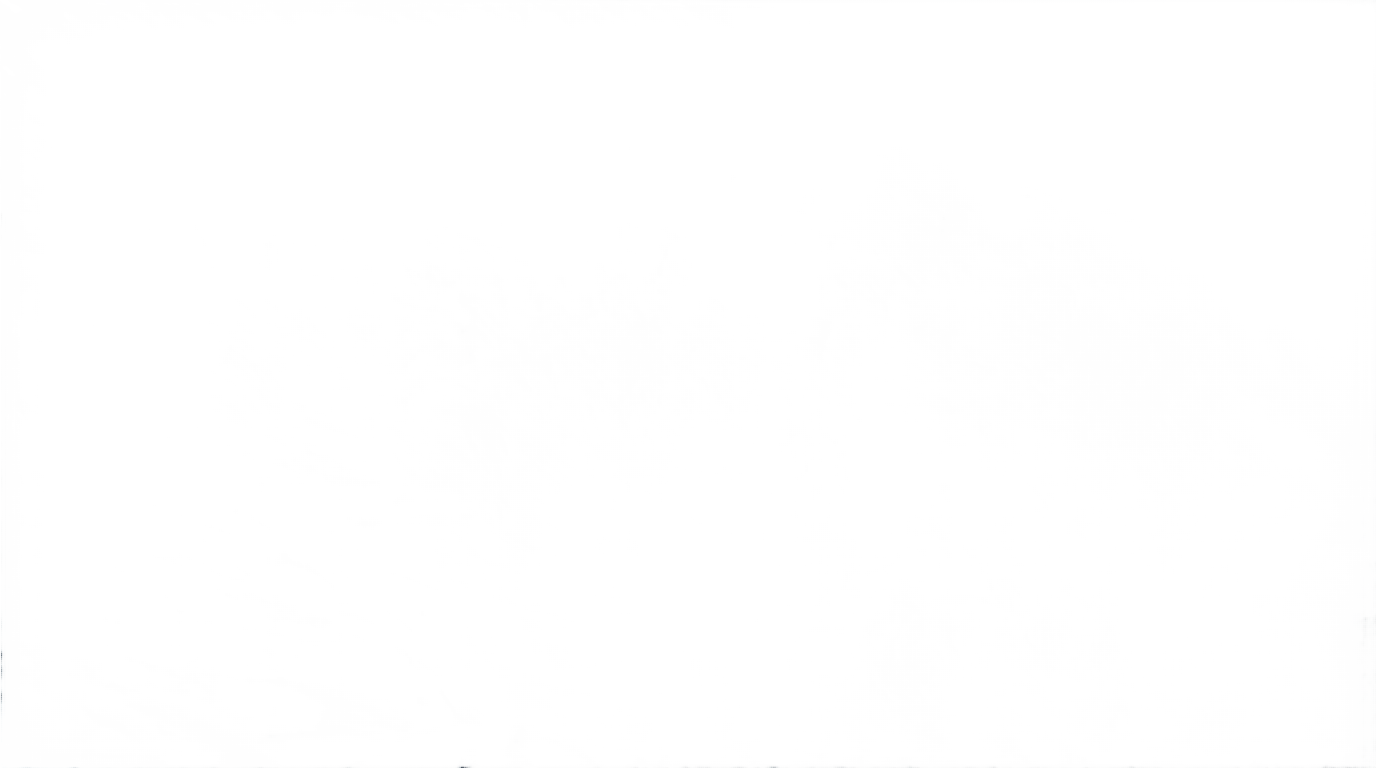 snow wind png PNG transparent background