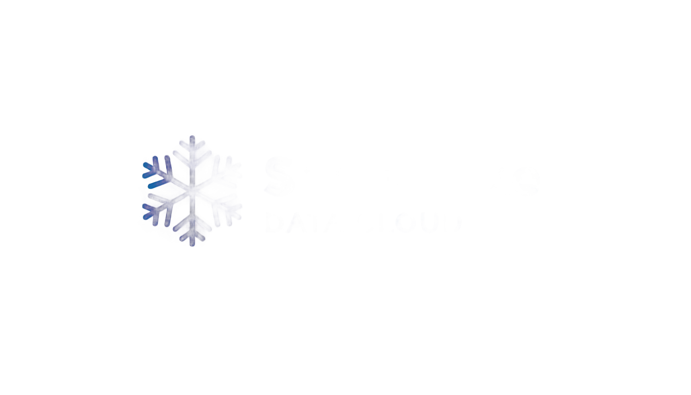 snowflake company png PNG transparent background