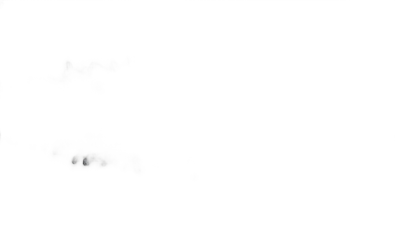 cold fog png PNG transparent background